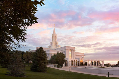 Bountiful Pastel Light