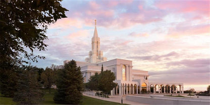 Bountiful Pastel Light