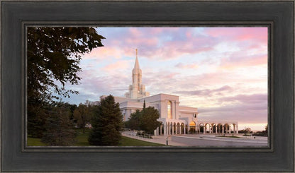 Bountiful Pastel Light