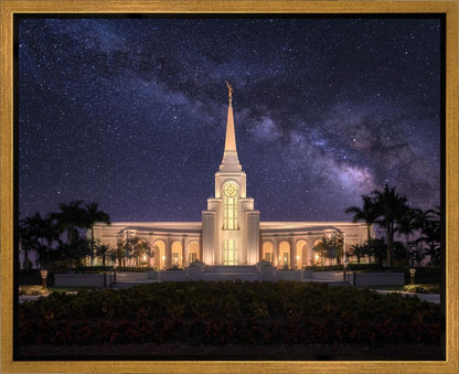 Fort Lauderdale Celestial