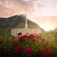 Provo Second Coming