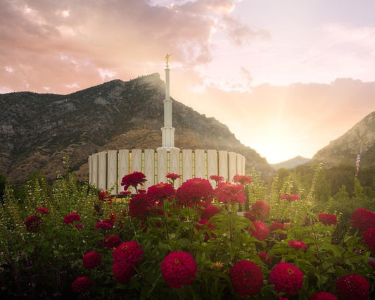 Provo Second Coming Gallery Wrap