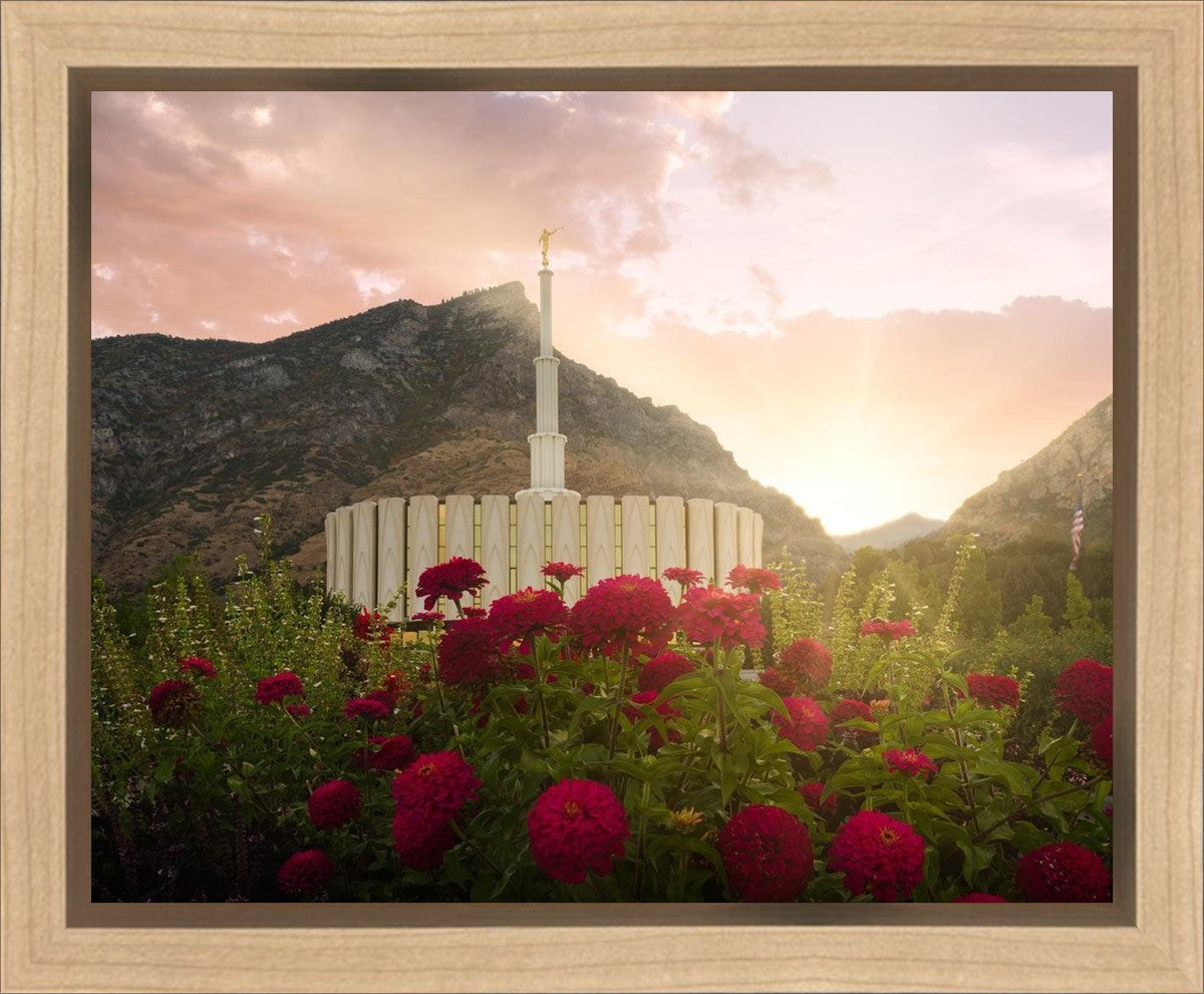 Provo Second Coming Gallery Wrap
