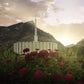 Provo Second Coming