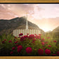 Provo Second Coming