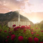 Provo Second Coming