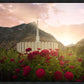 Provo Second Coming