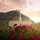 Provo Second Coming