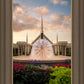 Chicago Fountain