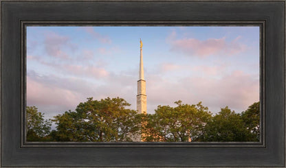 Chicago Temple Risen
