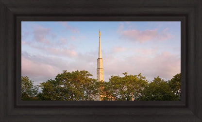 Chicago Temple Risen