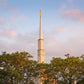 Chicago Temple Risen