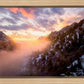 American Fork Canyon From Mutual Dell