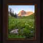 The Meadow