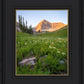 The Meadow
