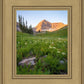The Meadow