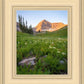 The Meadow