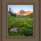 The Meadow