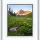 The Meadow