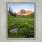 The Meadow