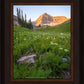 The Meadow