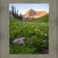 The Meadow