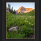 The Meadow
