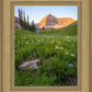 The Meadow