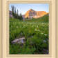 The Meadow