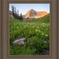 The Meadow