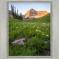 The Meadow