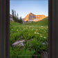 The Meadow