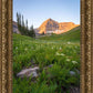 The Meadow
