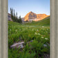 The Meadow