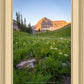 The Meadow