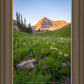 The Meadow