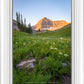 The Meadow