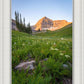 The Meadow
