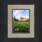 Timpanogos Meadow