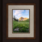 Timpanogos Meadow