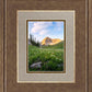 Timpanogos Meadow