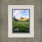 Timpanogos Meadow