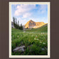 Timpanogos Meadow