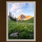 Timpanogos Meadow