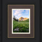 Timpanogos Meadow