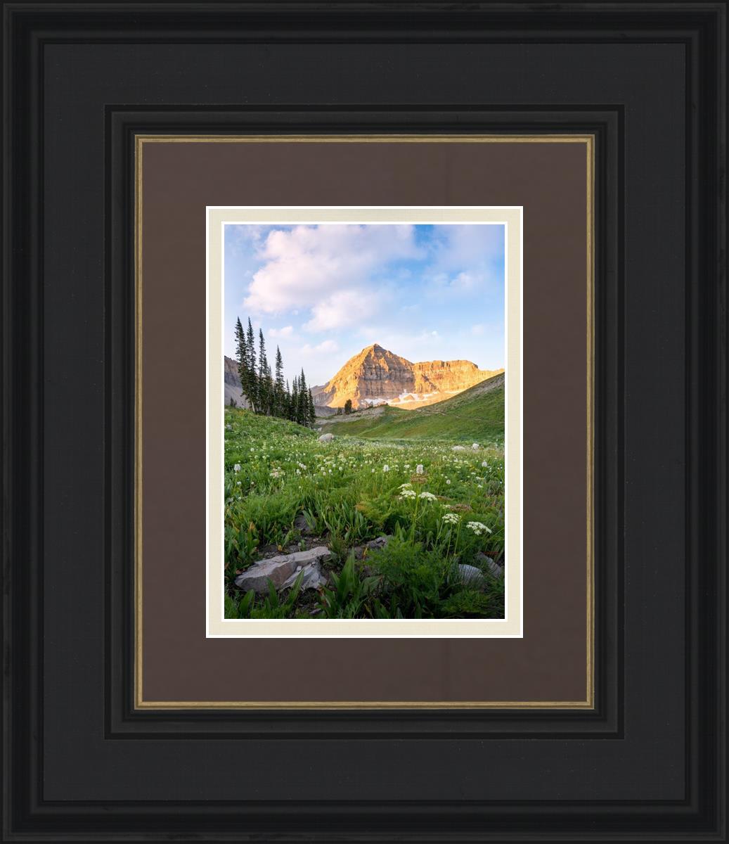 Timpanogos Meadow