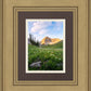 Timpanogos Meadow