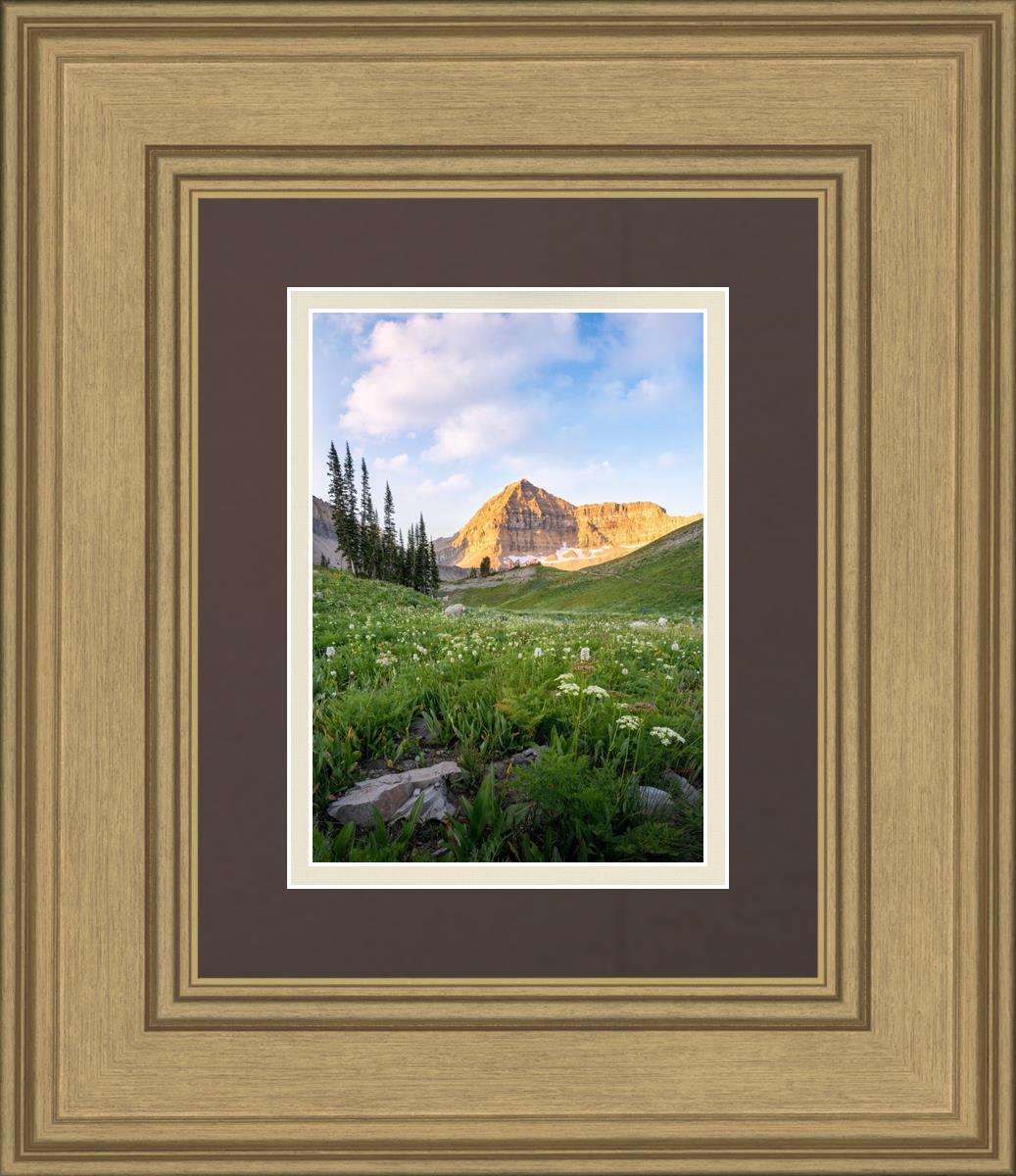 Timpanogos Meadow