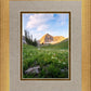 Timpanogos Meadow