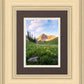 Timpanogos Meadow
